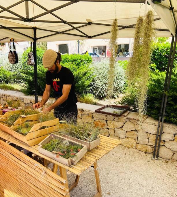 Apartamento Mediterraneo Entre Vinedos Jesus Pobre Екстериор снимка