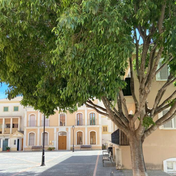 Apartamento Mediterraneo Entre Vinedos Jesus Pobre Екстериор снимка