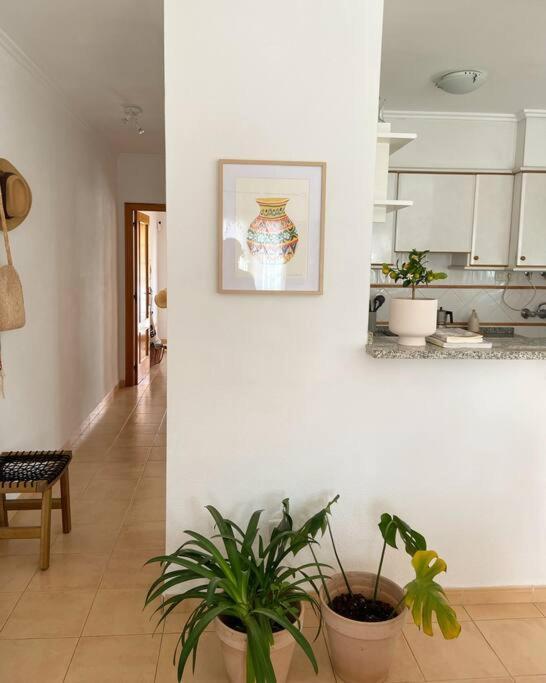 Apartamento Mediterraneo Entre Vinedos Jesus Pobre Екстериор снимка
